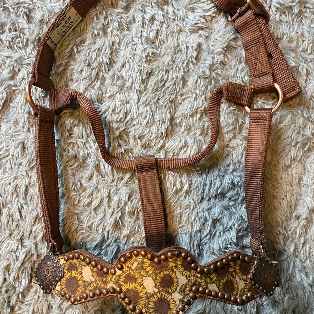 Little Paint Leather Custom Horse Halter